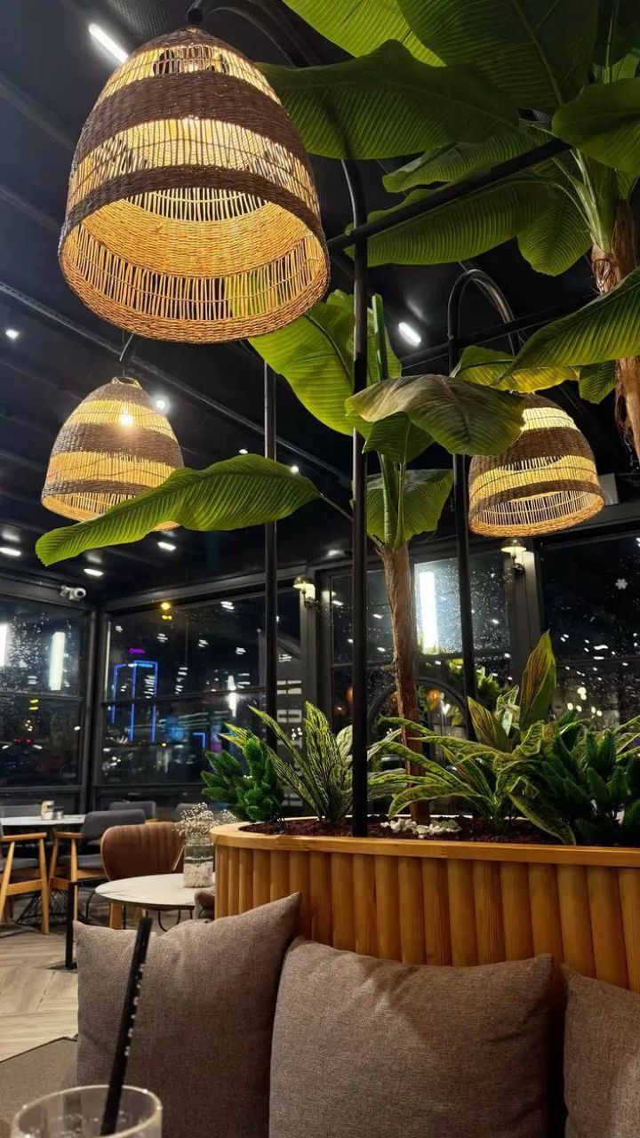 photo_6021563313592323381_y